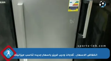 انخفاض الأسعار.. ثلاجات وديب فريزر بأسعار جديدة تناسب ميزانيتك